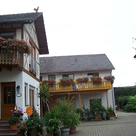 Appartamento Meyerhof Wittenweier Esterno foto