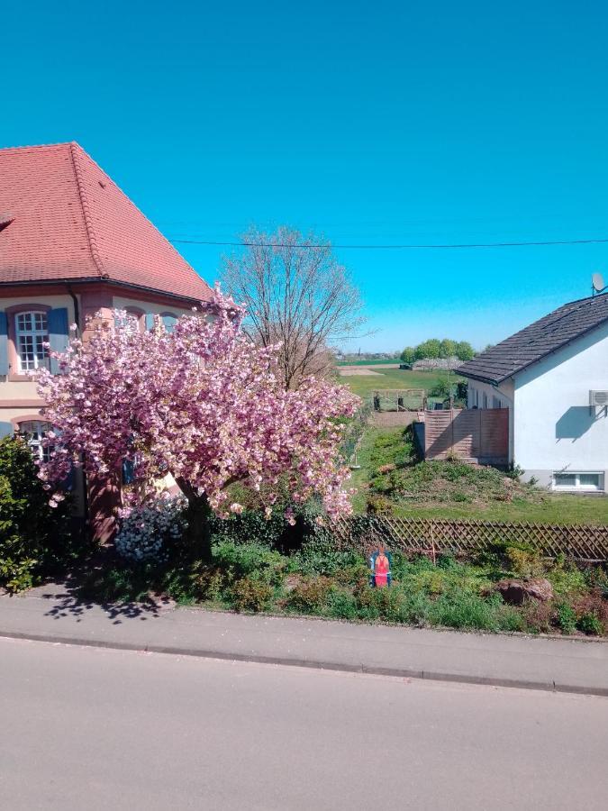 Meyerhof Homestay Wittenweier