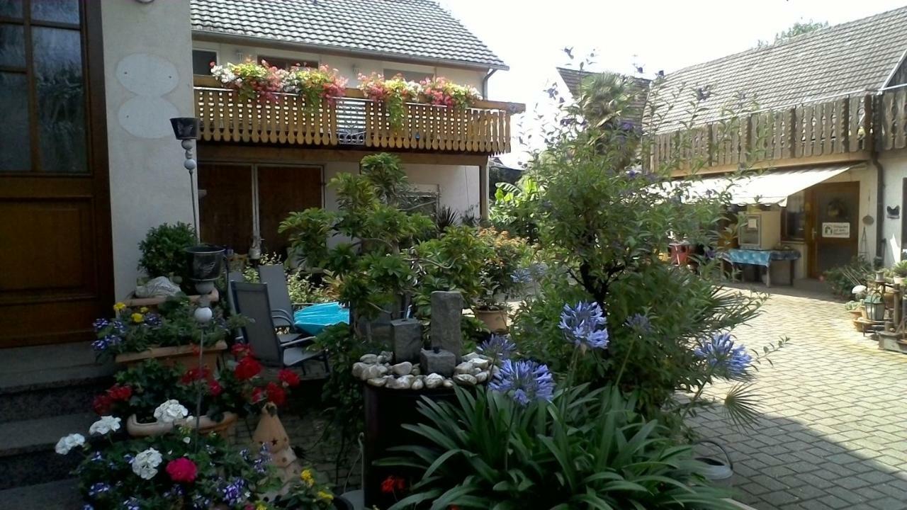 Homestay Meyerhof Wittenweier